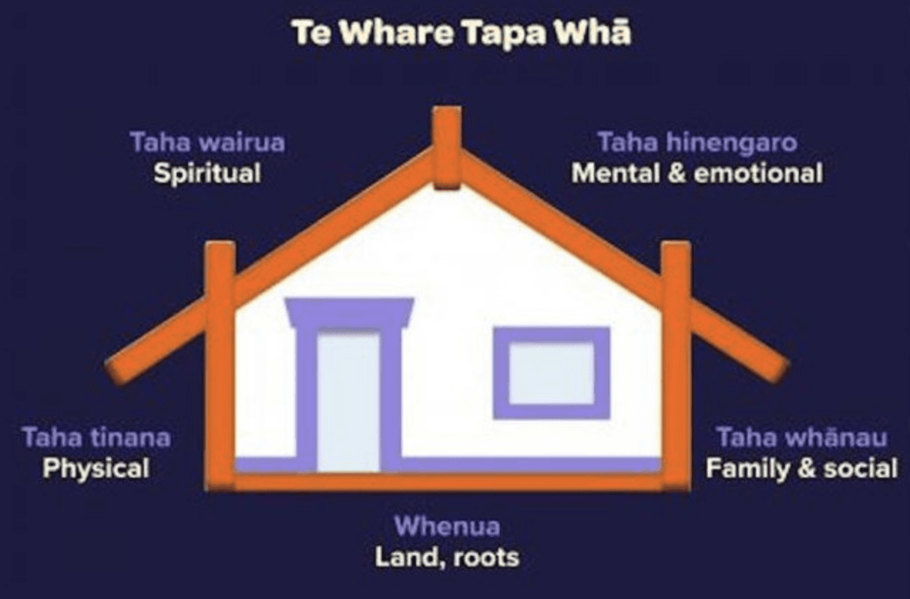 Te Whare Tapa Whā Pillars